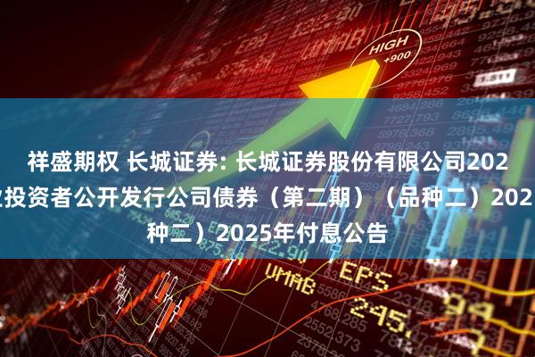 祥盛期权 长城证券: 长城证券股份有限公司2024年面向专业投资者公开发行公司债券（第二期）（品种二）2025年付息公告