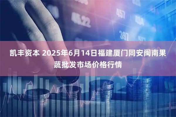 凯丰资本 2025年6月14日福建厦门同安闽南果蔬批发市场价格行情